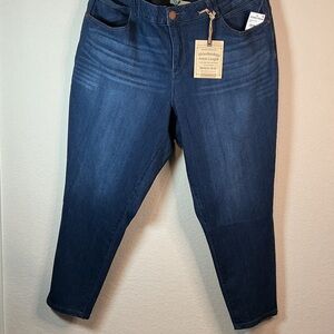 Democracy Ab Technology Ankle Jeans 22W Dark Wash Plus Size NWT